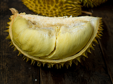 九游体育入口基地展示二