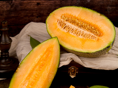 九游体育入口基地展示三