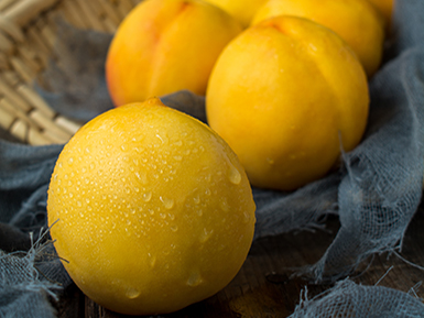 九游体育入口基地展示五