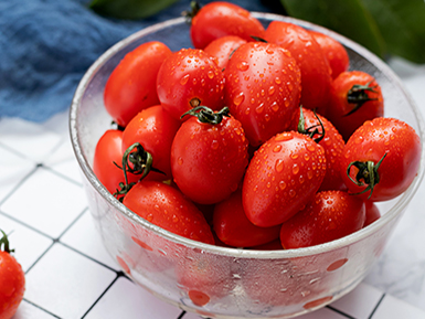 九游体育入口基地展示六